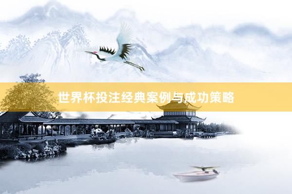 世界杯投注经典案例与成功策略