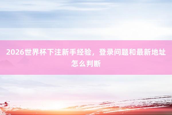 2026世界杯下注新手经验，登录问题和最新地址怎么判断