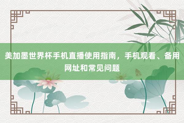 美加墨世界杯手机直播使用指南，手机观看、备用网址和常见问题