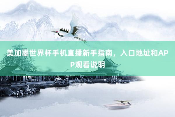 美加墨世界杯手机直播新手指南，入口地址和APP观看说明